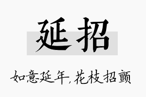 延招名字的寓意及含义