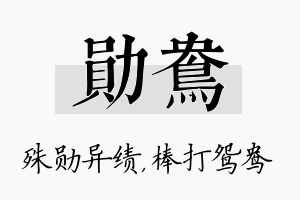 勋鸯名字的寓意及含义