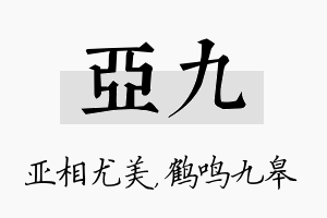 亚九名字的寓意及含义