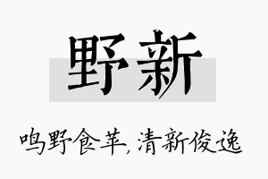 野新名字的寓意及含义