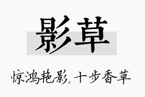 影草名字的寓意及含义