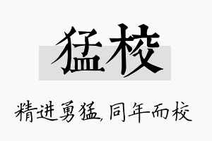 猛校名字的寓意及含义