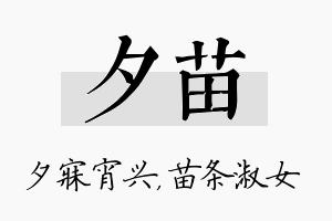 夕苗名字的寓意及含义