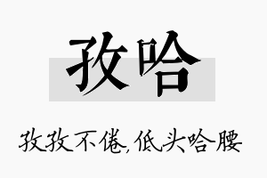 孜哈名字的寓意及含义