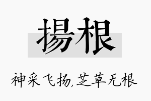 扬根名字的寓意及含义