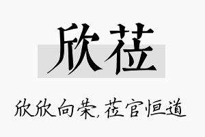 欣莅名字的寓意及含义