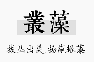 丛藻名字的寓意及含义