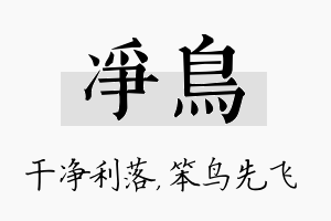 净鸟名字的寓意及含义