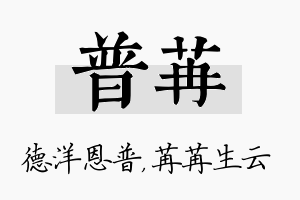 普苒名字的寓意及含义