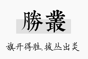 胜丛名字的寓意及含义