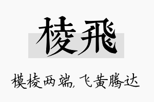 棱飞名字的寓意及含义