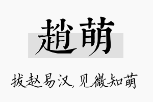 赵萌名字的寓意及含义