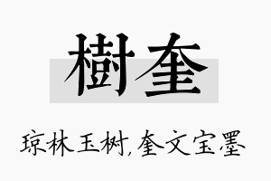 树奎名字的寓意及含义