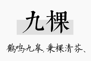 九棵名字的寓意及含义