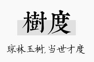 树度名字的寓意及含义