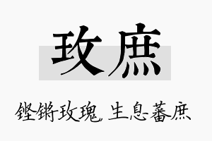 玫庶名字的寓意及含义