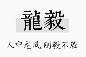 龙毅名字的寓意及含义