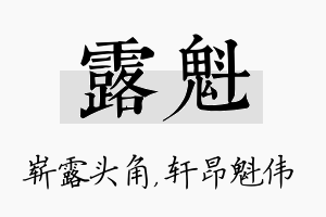 露魁名字的寓意及含义