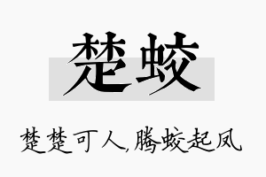 楚蛟名字的寓意及含义