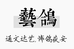 艺鸽名字的寓意及含义