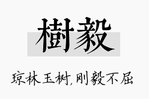 树毅名字的寓意及含义