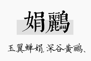 娟鹂名字的寓意及含义