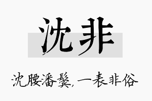 沈非名字的寓意及含义