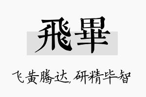 飞毕名字的寓意及含义