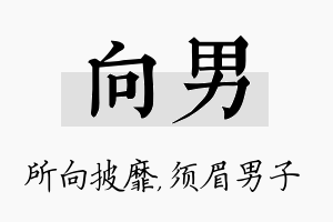 向男名字的寓意及含义