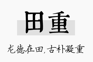 田重名字的寓意及含义