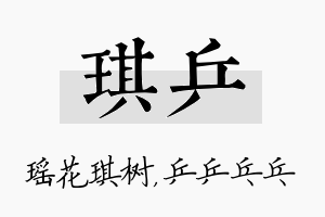 琪乒名字的寓意及含义