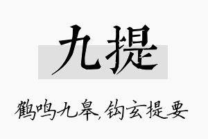 九提名字的寓意及含义