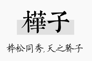 桦子名字的寓意及含义