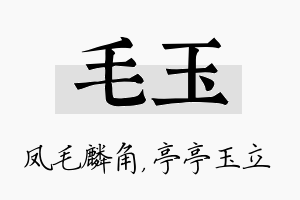 毛玉名字的寓意及含义