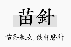 苗针名字的寓意及含义