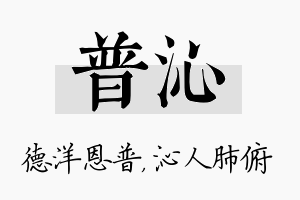 普沁名字的寓意及含义