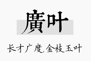 广叶名字的寓意及含义