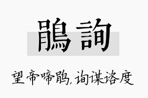 鹃询名字的寓意及含义