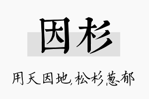 因杉名字的寓意及含义