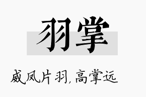 羽掌名字的寓意及含义