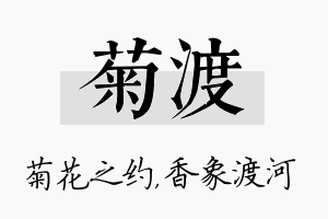 菊渡名字的寓意及含义