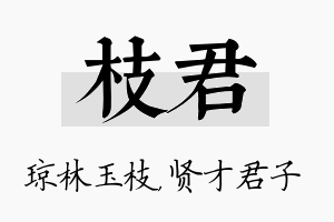 枝君名字的寓意及含义