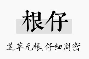 根仔名字的寓意及含义