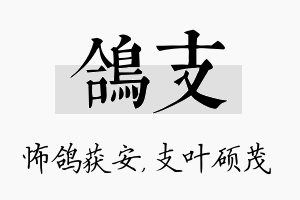 鸽支名字的寓意及含义