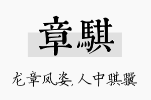 章骐名字的寓意及含义