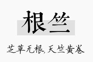 根竺名字的寓意及含义