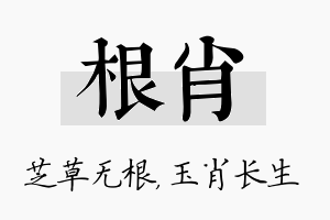 根肖名字的寓意及含义