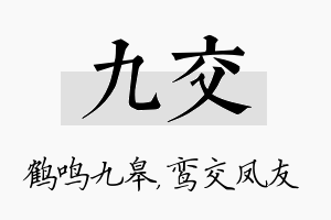 九交名字的寓意及含义