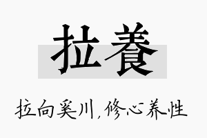 拉养名字的寓意及含义