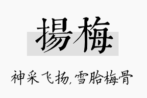 扬梅名字的寓意及含义